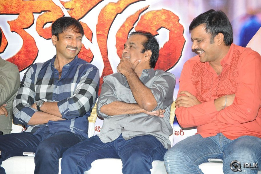 Loukyam-Movie-Platinum-Disc-Function